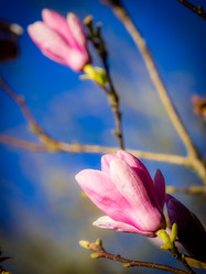 Similar image 11784240