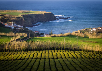 Similar image 11784319