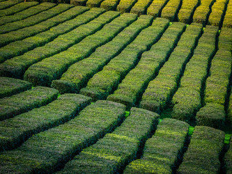 Similar image 11784279