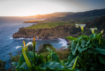 Similar image 11784290