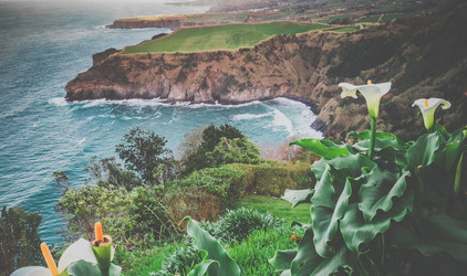 Similar image 11784291