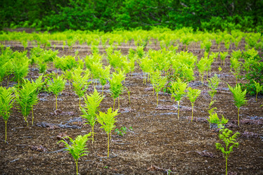 Similar image 11783064