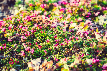 Similar image 11783065