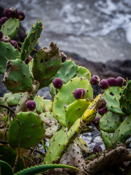 Similar image 11783638