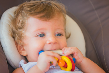 Similar image 11786525