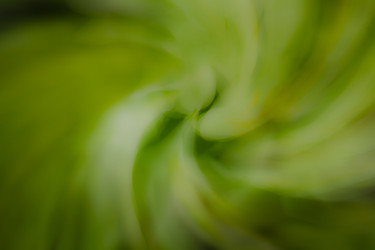 Similar image 11783809