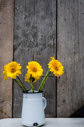 Similar image 11783806