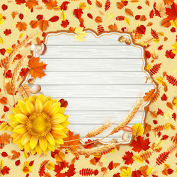 Similar image 11806774