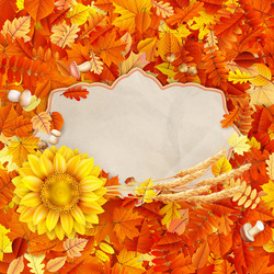 Similar image 11806875