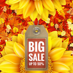 Similar image 11806896