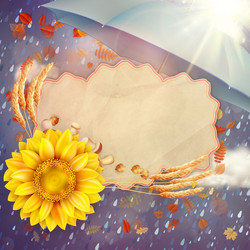 Similar image 11806897