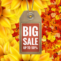 Similar image 11808511