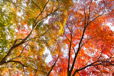 Similar image 11828697