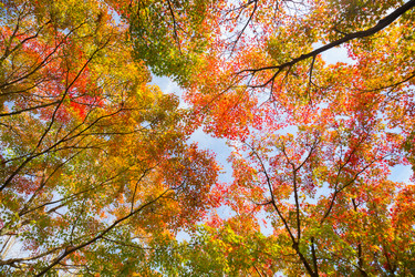 Similar image 11828558