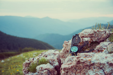 Similar image 11783762