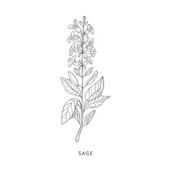 Similar image 11831790