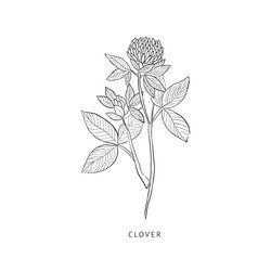 Similar image 11831890