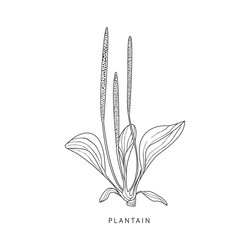 Similar image 11831891