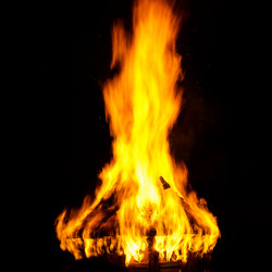 Similar image 11783771