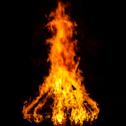 Similar image 11783785