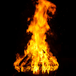 Similar image 11783786