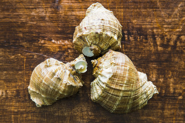 Similar image 11786610