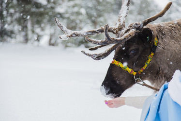 Similar image 11786611