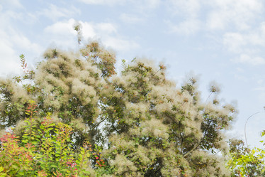 Similar image 11786637