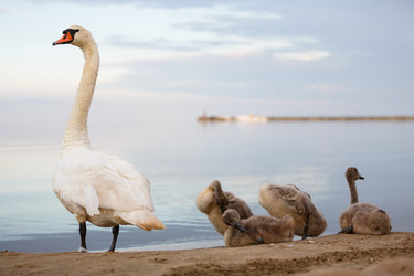 Similar image 11783819