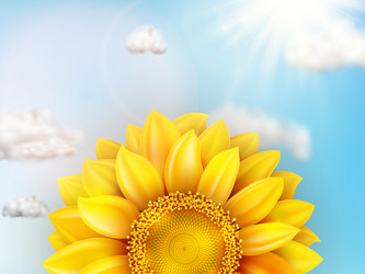 Similar image 11808803