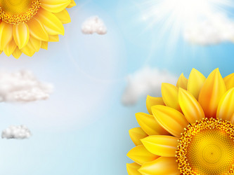 Similar image 11808806