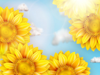 Similar image 11808808