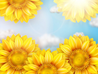 Similar image 11808816