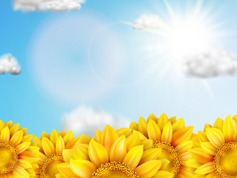 Similar image 11808819