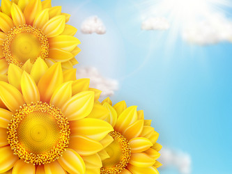 Similar image 11808834