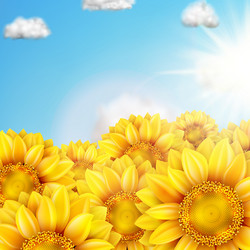 Similar image 11808835