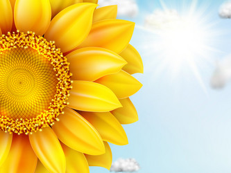 Similar image 11808838