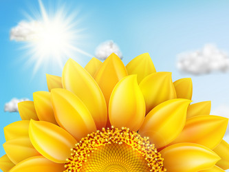 Similar image 11808839