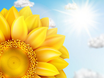 Similar image 11808840