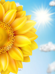 Similar image 11808859