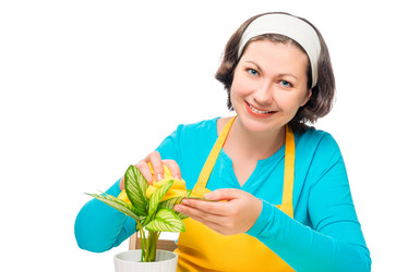 Similar image 11801298