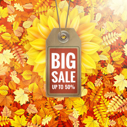 Similar image 11808810