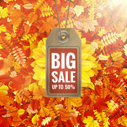 Similar image 11808824