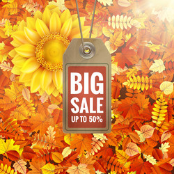 Similar image 11808826