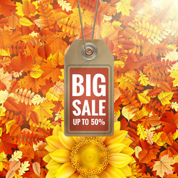 Similar image 11808827