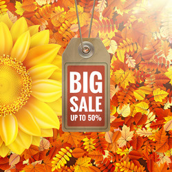 Similar image 11808828