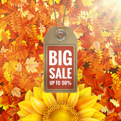 Similar image 11808829