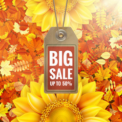 Similar image 11808841