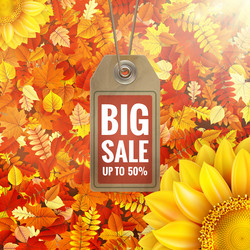 Similar image 11808842