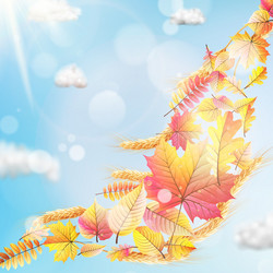 Similar image 11808844